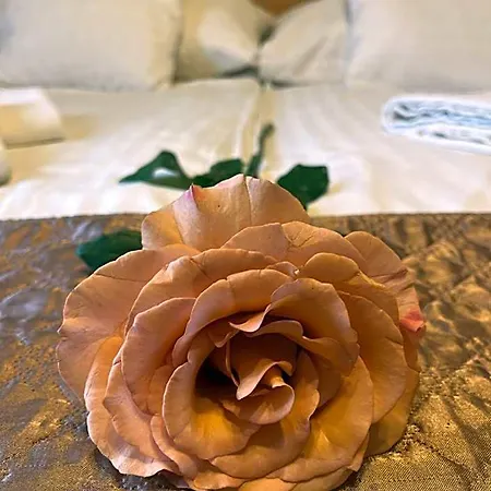 Rose 호텔 부다페스트