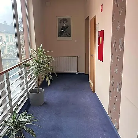 Rose 3* Budapesta