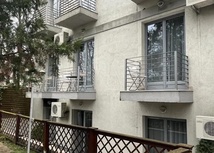 Rose 부다페스트