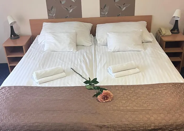 Rose 3*